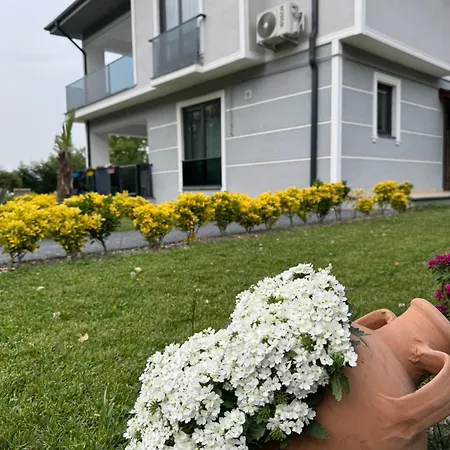 Dereici *