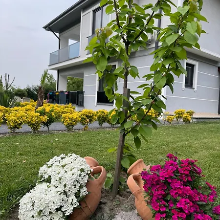 Dereici Sapanca